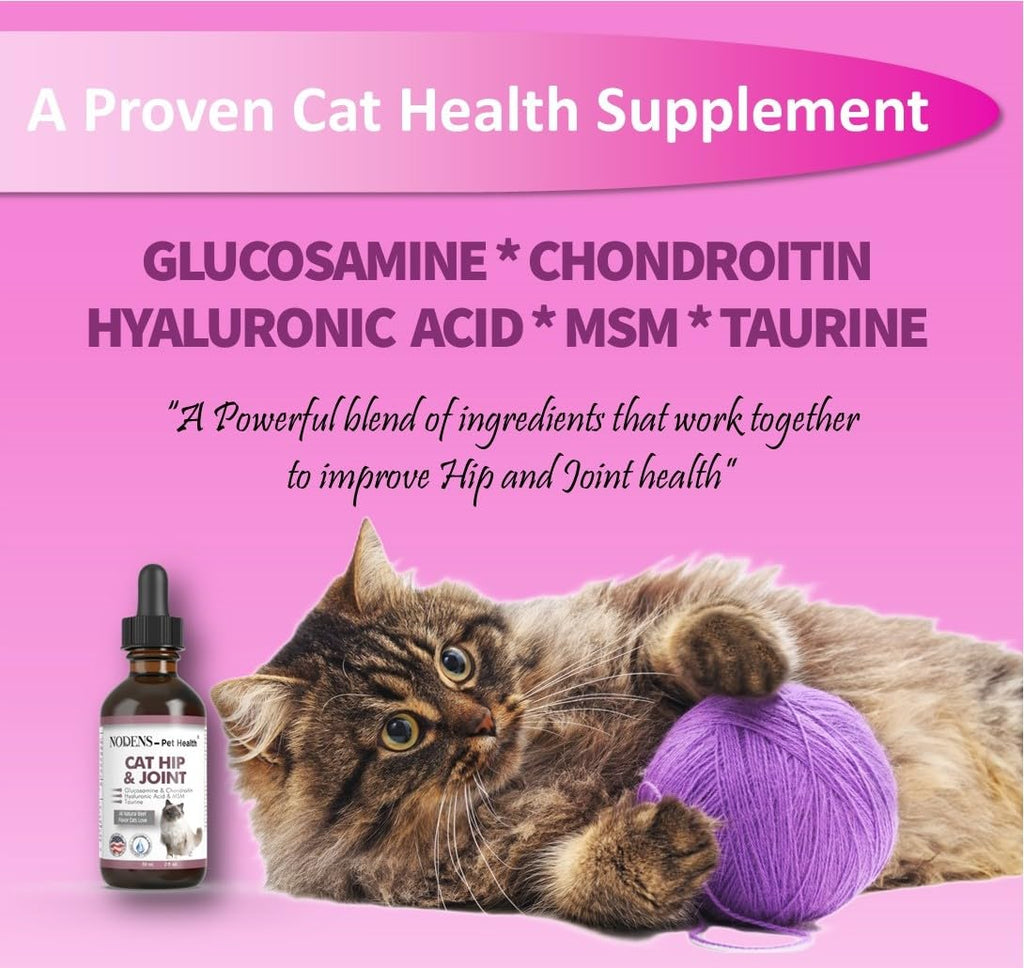Natural Glucosamine for Cats and Small Dogs Q57262