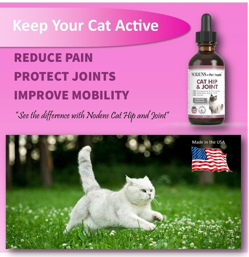 Natural Glucosamine for Cats and Small Dogs Q57262