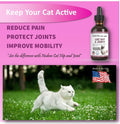 Natural Glucosamine for Cats and Small Dogs Q57262