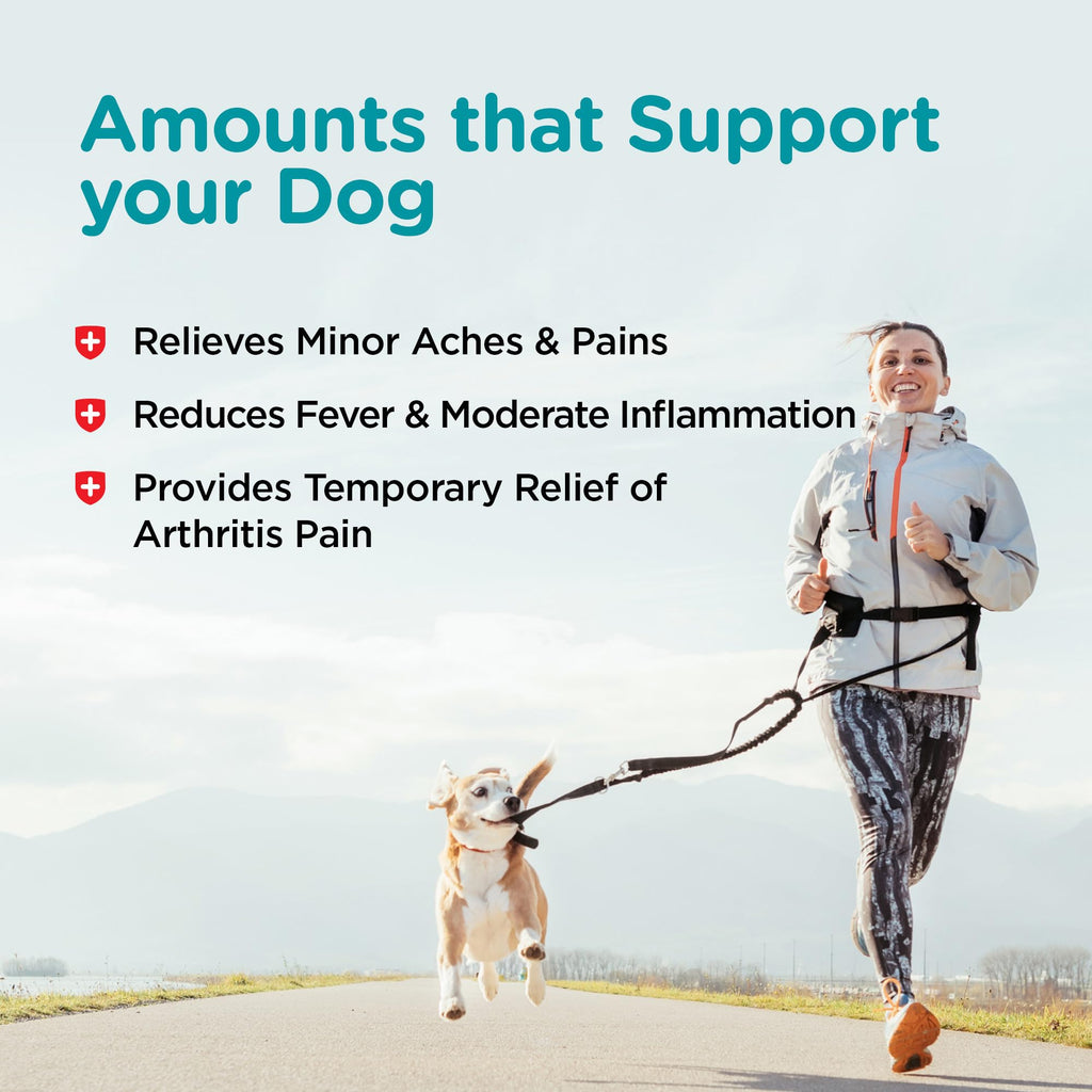 Dog Aspirin 120mg 100 Count A34117