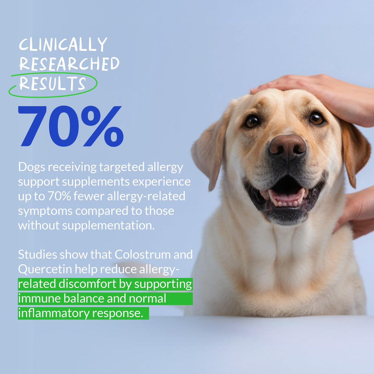 Allergy Relief for Dogs 120 Tablets S8389