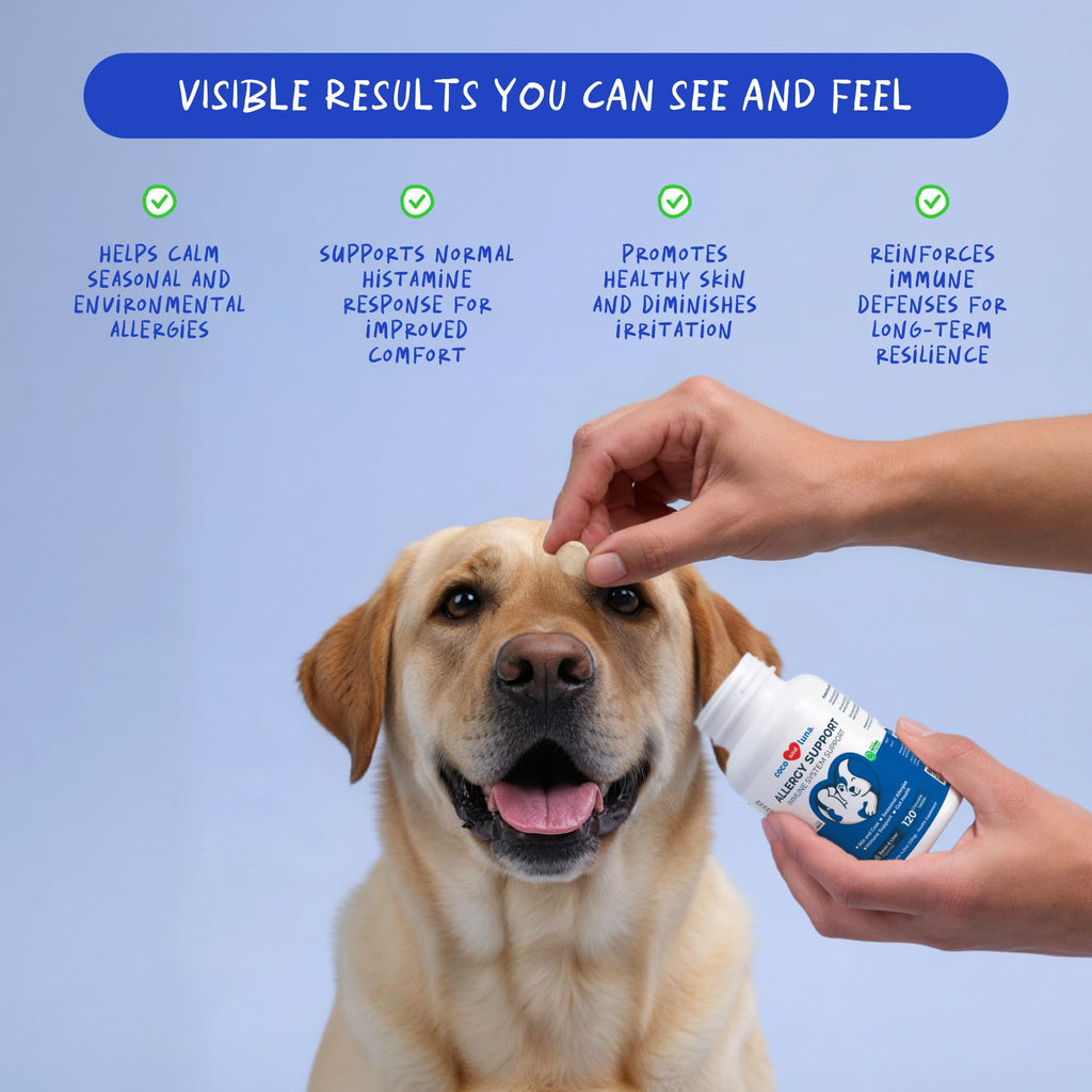 Allergy Relief for Dogs 120 Tablets S8389