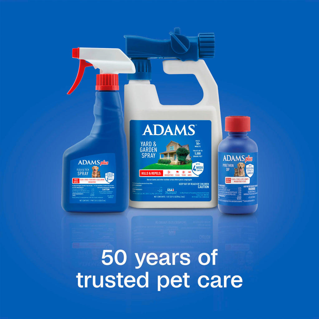 Plus Pyrethrin Flea Dip For Dogs and Cats 4 Fl oz N83094
