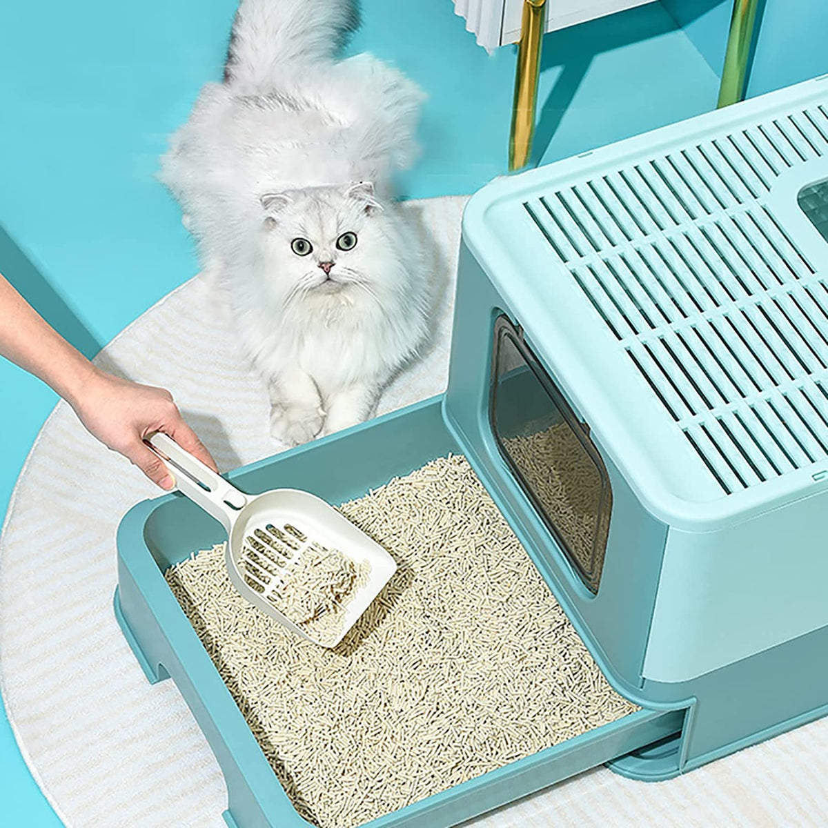 Foldable Large Top Entry Anti-Splashing Cat Litter Box with Lid and Scoop U6476