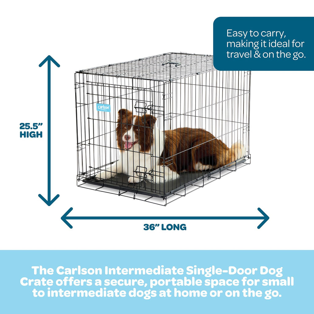 36" Foldable Metal Dog Crate with Removable Tray J9943