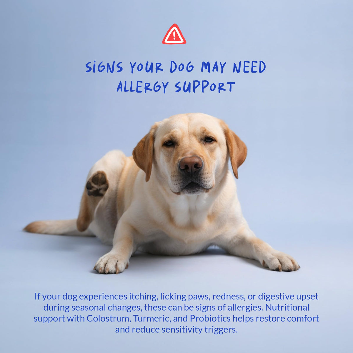 Allergy Relief for Dogs 120 Tablets S8389