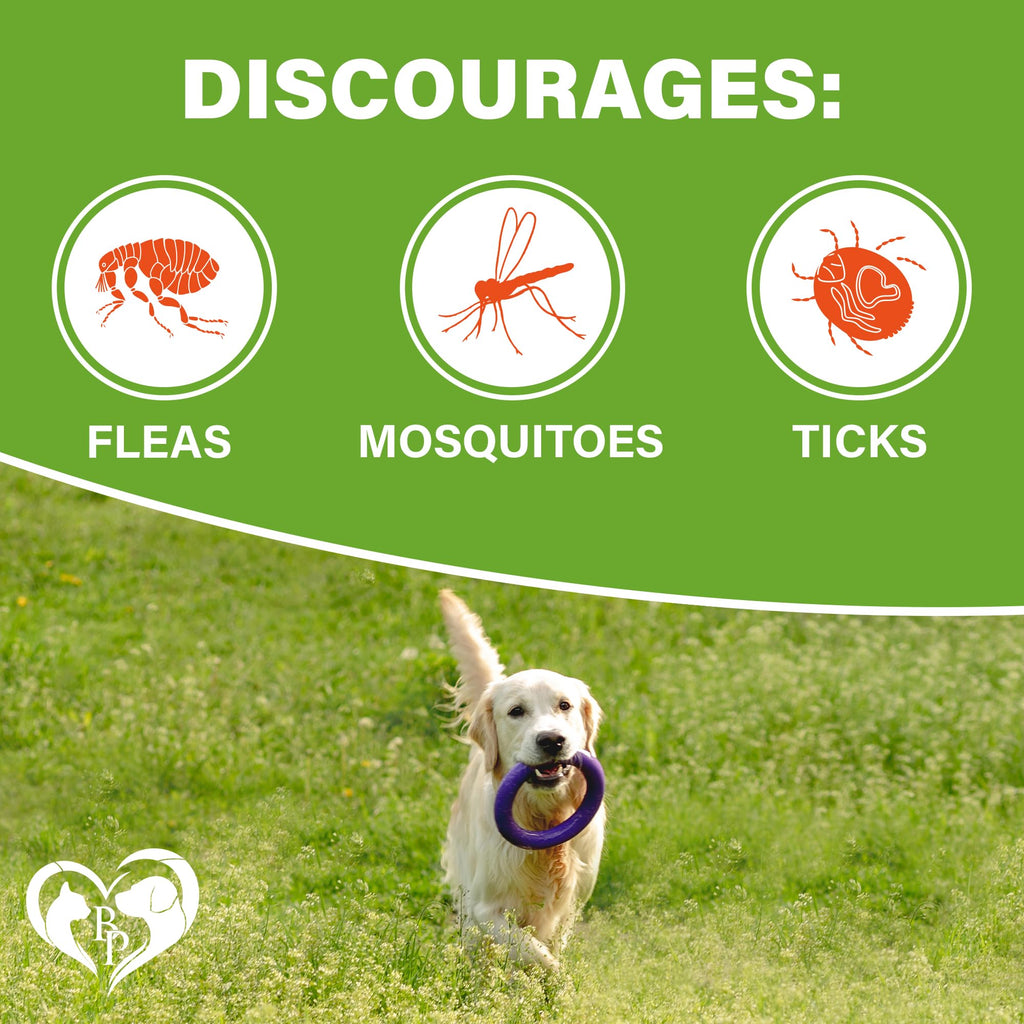 Chewable Flea and Tick Prevention Pills for Dogs M533