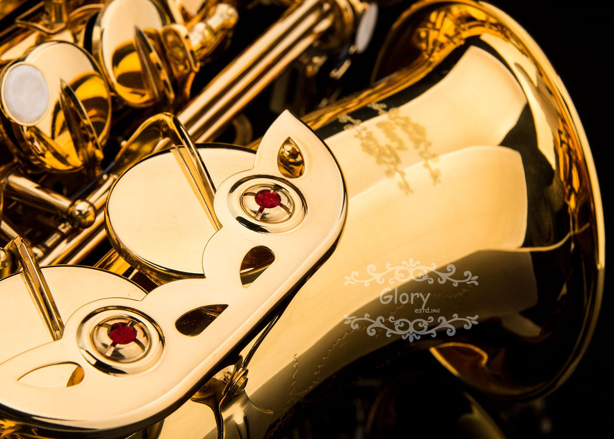 E Flat Alto Saxophone with Case D7359