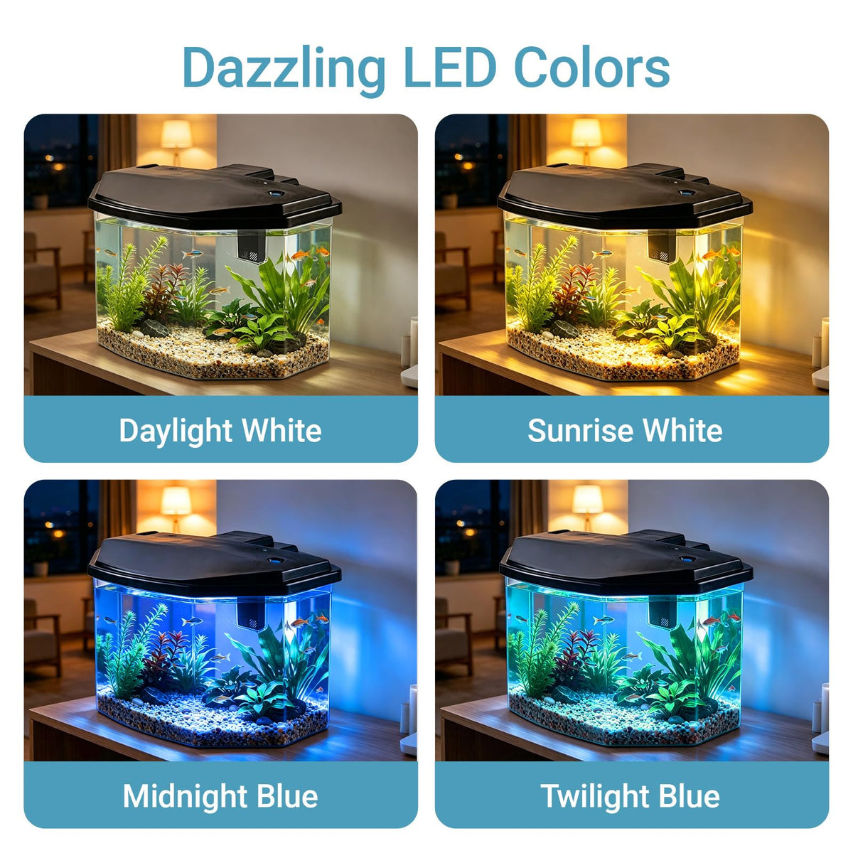 3-Gallon Plastic Aquarium Starter Kit with LED Lighting and Filtration U252