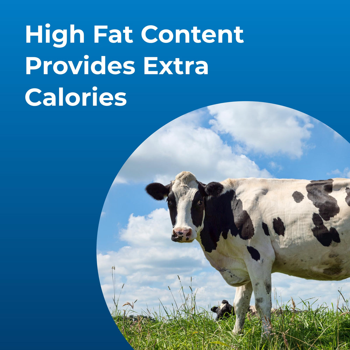 32 oz High Calorie Liquid Nutritional Supplement F53387