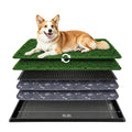 Dog Grass Pad with Tray 30"x20" O460249