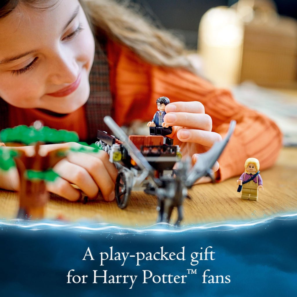 Harry Potter Hogwarts Carriage I260
