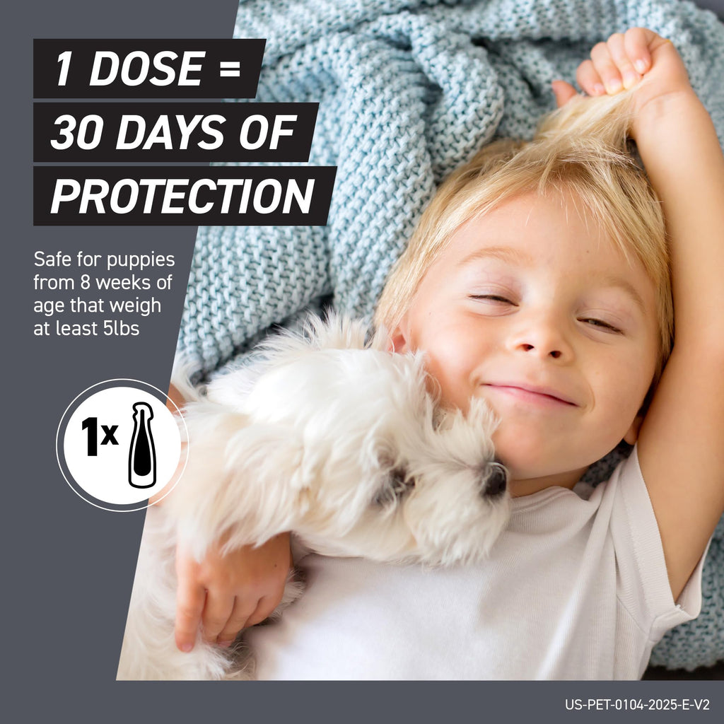 Flea & Tick Treatment for Small Dogs 11-20 lbs, Count of 3 Y5332