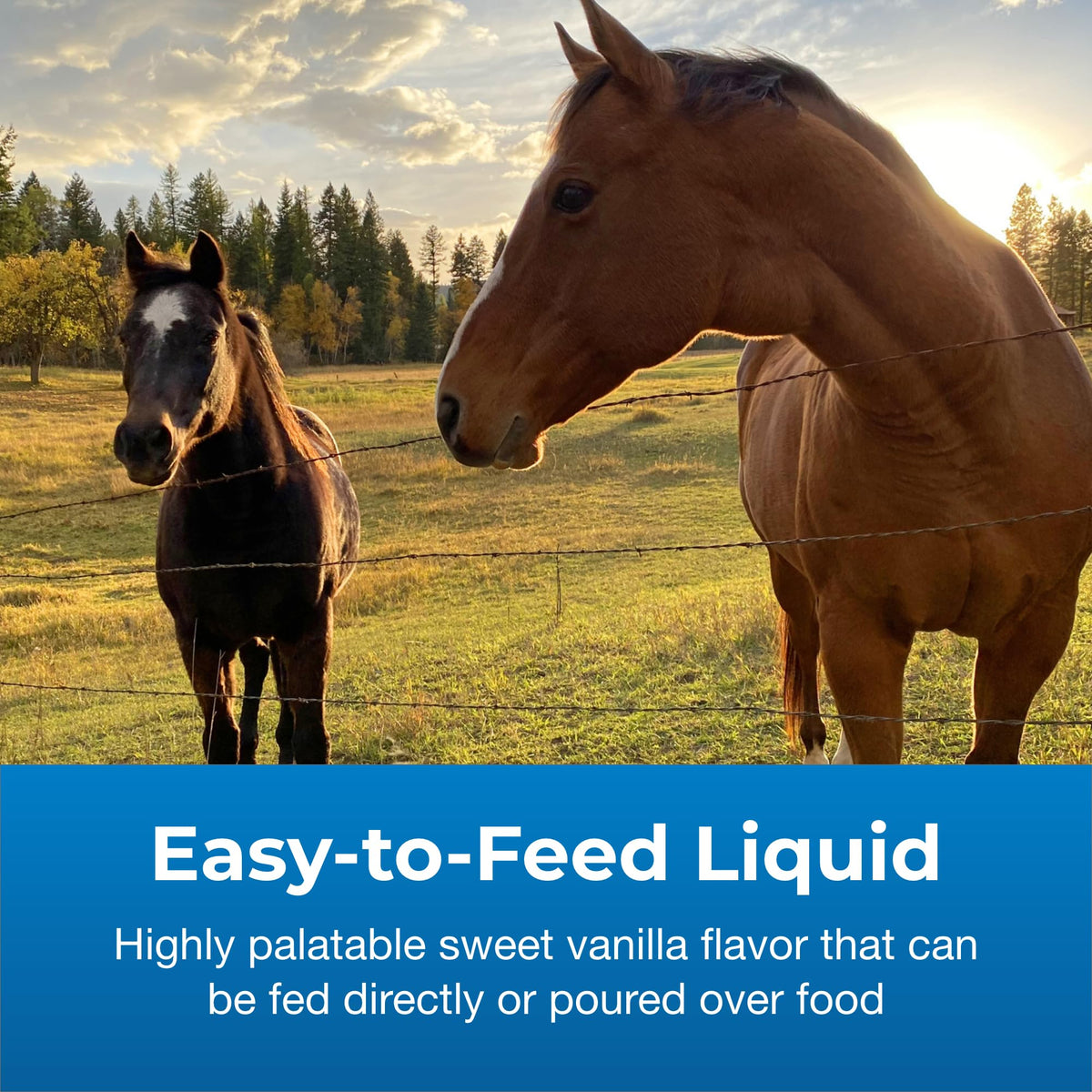 32 oz High Calorie Liquid Nutritional Supplement F53387
