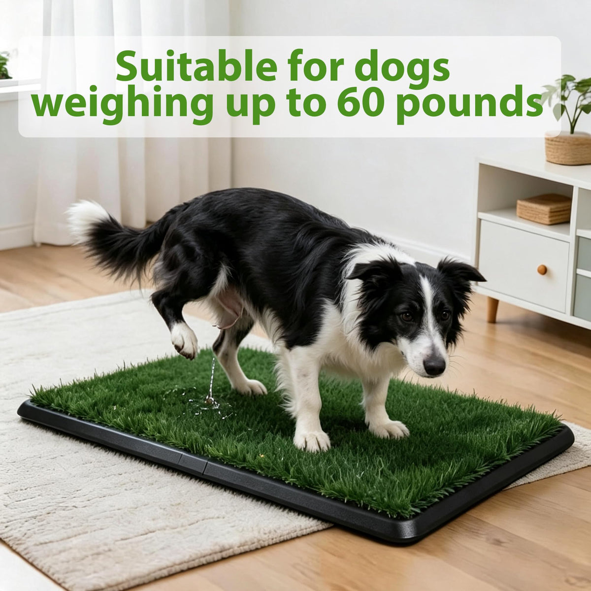 Dog Grass Pad with Tray 30"x20" O460249