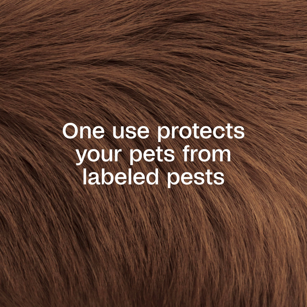 Plus Pyrethrin Flea Dip For Dogs and Cats 4 Fl oz N83094