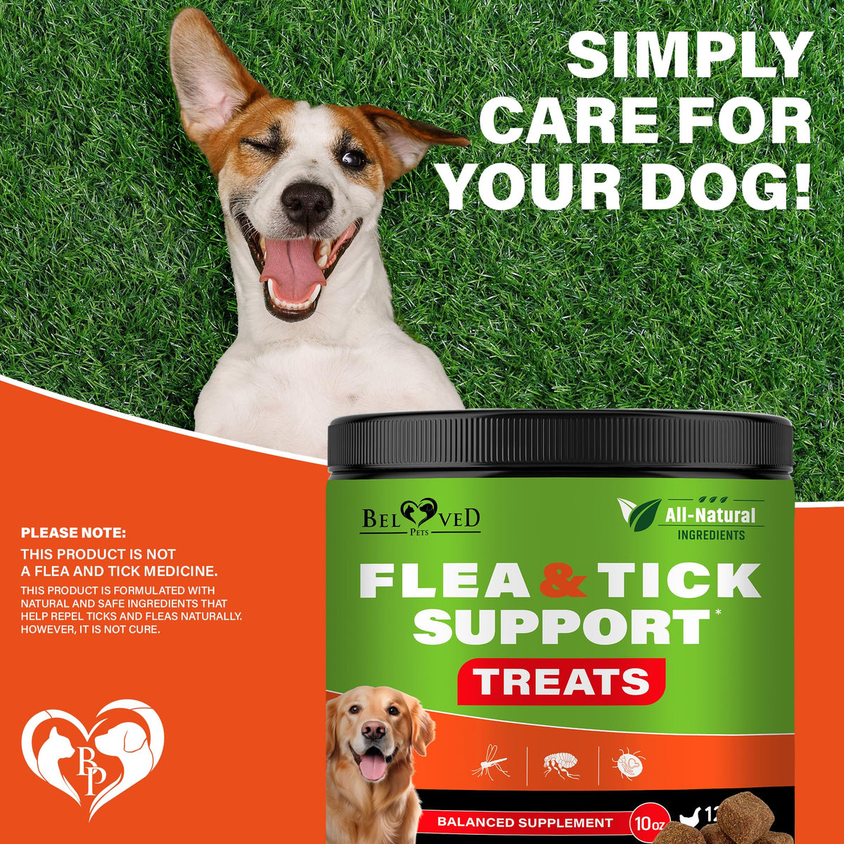 Chewable Flea and Tick Prevention Pills for Dogs M533
