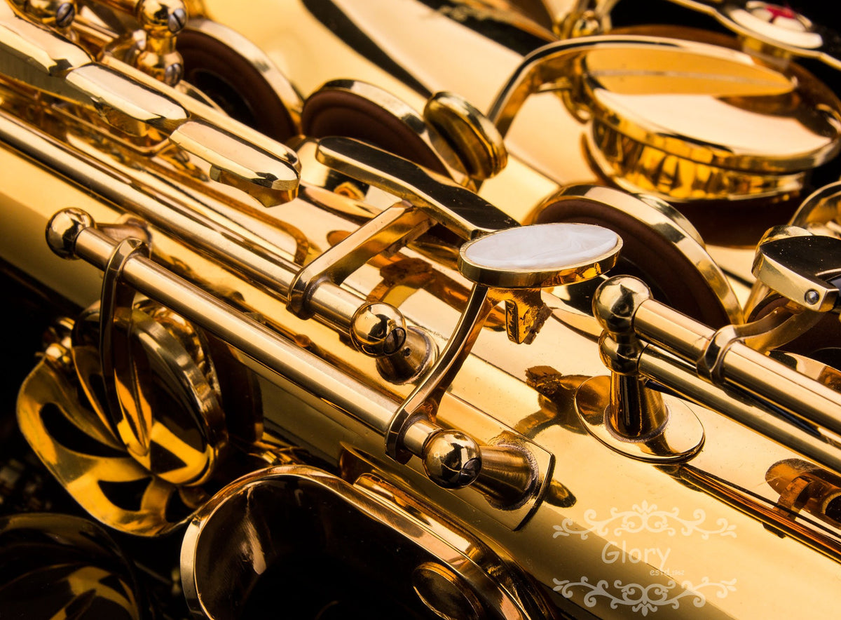 E Flat Alto Saxophone with Case D7359