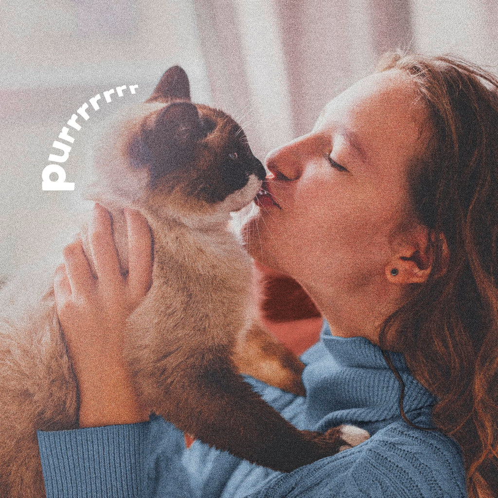 Plus Pyrethrin Flea Dip For Dogs and Cats 4 Fl oz N83094